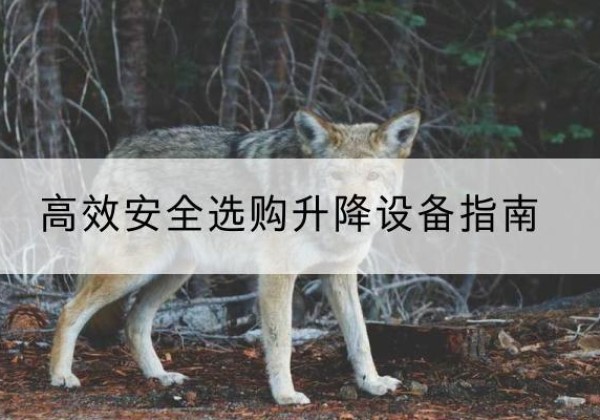 海安升降货梯厂家推荐-*安全选购升降设备指南