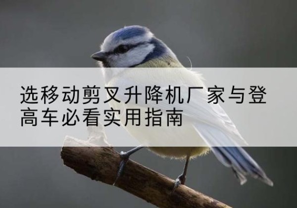 海安电动升降机厂家-选移动剪叉升降机厂家与登高车必看实用指南