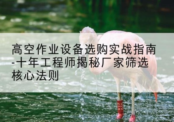 海安剪叉式升降机厂家-高空作业设备选购实战指南-十年工程师揭秘厂家筛选核心法则